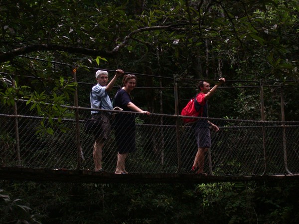 Mossman Gorge